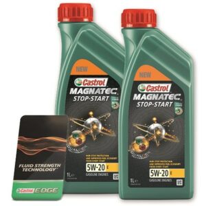 2x 1 L Magnatec 5W-20 E + Ölwechsel-Anhänger offen